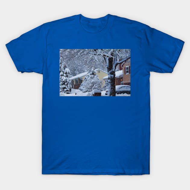 Falling Snow T-Shirt by vadim19